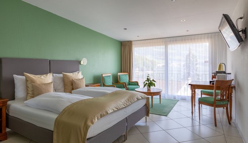 Suite junior, 1 cama doble, vistas al lago