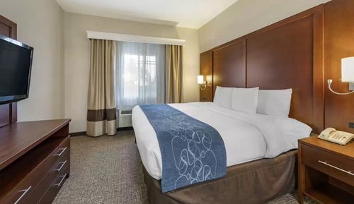 Suite Business