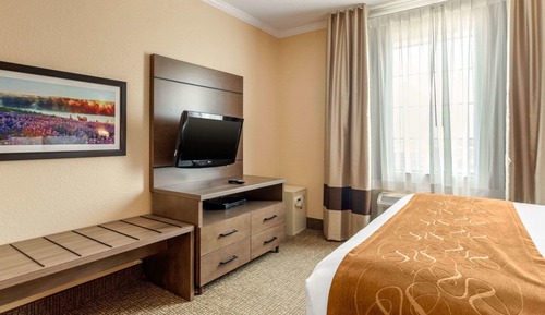 Suite, 1 cama de matrimonio grande con sofá cama, accesible para personas con discapacidad