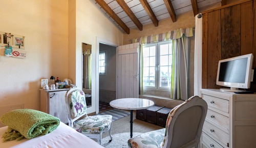 Habitación doble, vistas al parque (Charme)