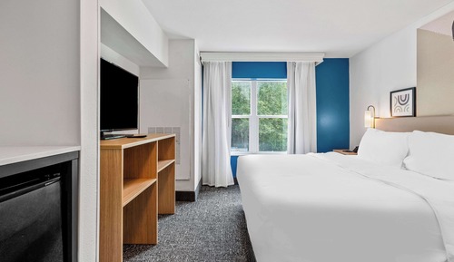 Estudio, 1 cama de matrimonio grande