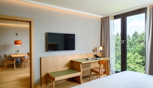Suite Business, 1 habitación, no fumadores