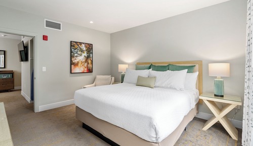 Suite, 1 cama de matrimonio grande con sofá cama