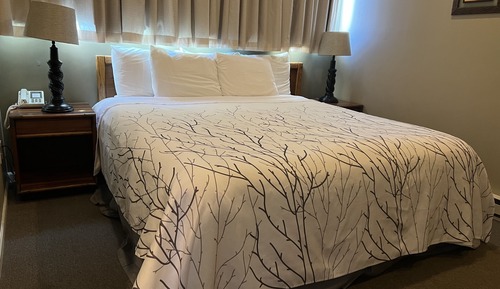 Suite estudio estándar
