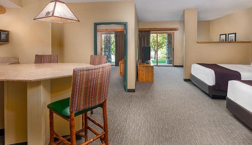 Suite (Waterpark Included-Majestic Bear)