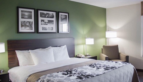 Suite, 1 cama de matrimonio grande con sofá cama, accesible para personas con discapacidad