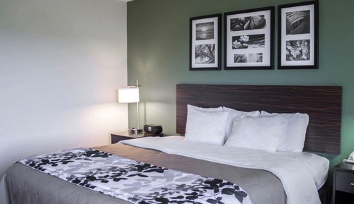 Habitación, 1 cama de matrimonio grande, accesible para personas con discapacidad, no fumadores