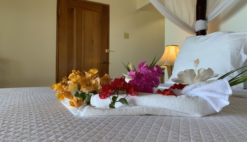 Habitación Deluxe, 1 cama de matrimonio grande, vistas al mar