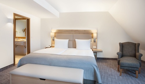 Habitación estándar, 1 cama de matrimonio grande
