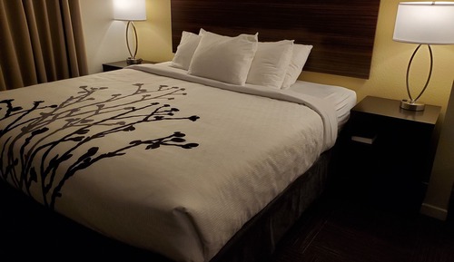 Suite, 1 cama de matrimonio grande, no fumadores