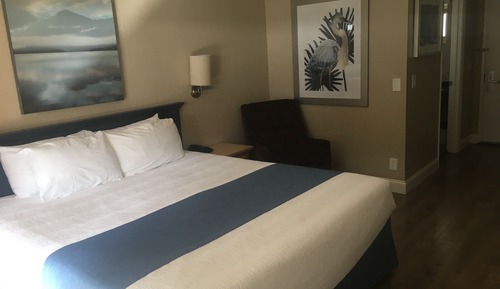 Habitación estándar, 1 cama de matrimonio grande