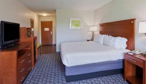 Habitación estándar, 1 cama de matrimonio grande