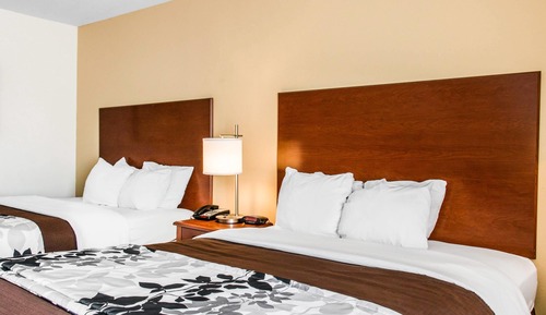 Habitación estándar, 2 camas de matrimonio, no fumadores