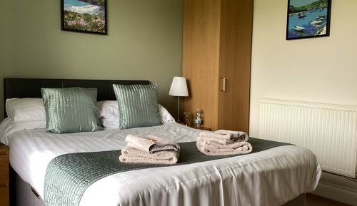 Suite, baño privado (One Bedroom)