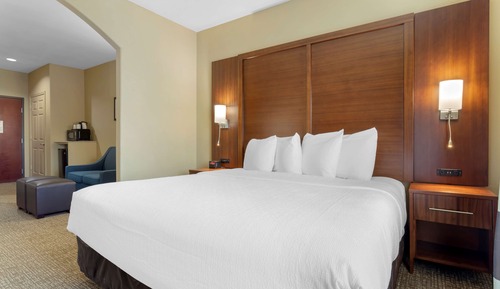 Suite, 1 cama de matrimonio grande, no fumadores, frigorífico y microondas (with Sofabed)