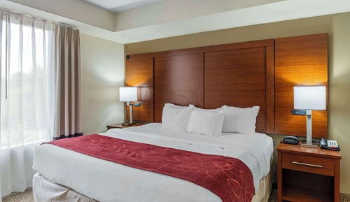 Suite Premier, 1 habitación, no fumadores, bañera de hidromasaje (King Bed and Sofa Bed)
