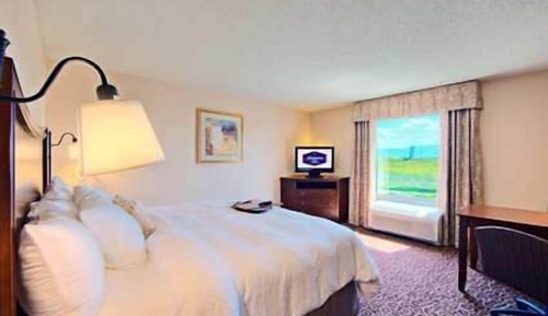 Suite estudio, 1 cama de matrimonio grande con sofá cama, no fumadores