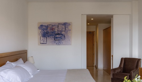 Habitación Deluxe, vistas al jardín