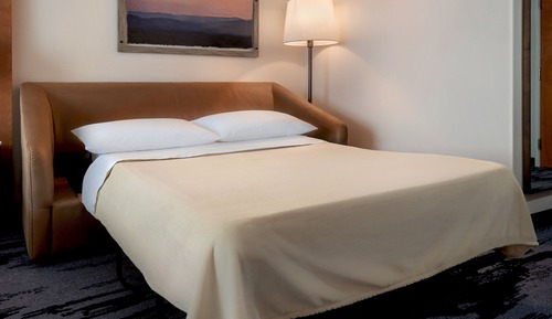 Habitación estándar, 1 cama de matrimonio grande con sofá cama (Mobility Accessible, Roll-in Shower)