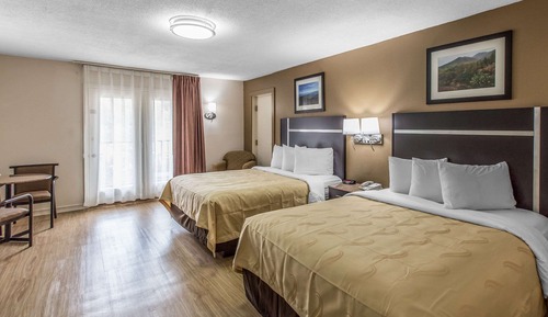 Habitación estándar, 2 camas de matrimonio, no fumadores (No Pets)
