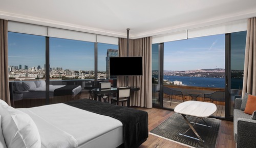 Suite, 1 cama doble