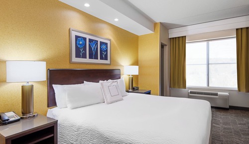 Suite, 1 cama de matrimonio grande con sofá cama