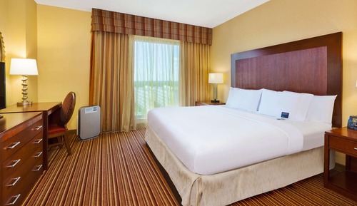 Suite Premium, 1 cama de matrimonio grande, accesible para personas con discapacidad, no fumadores