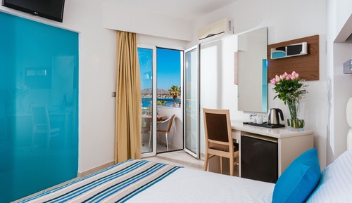 Habitación doble, vistas al jardín