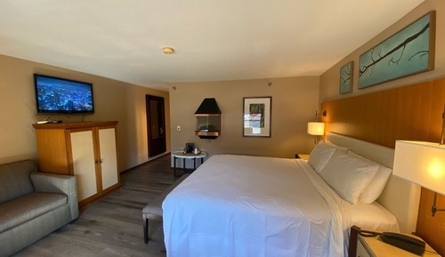 Habitación estándar, 1 cama de matrimonio grande