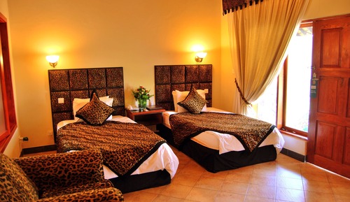 Habitación estándar, 2 camas individuales
