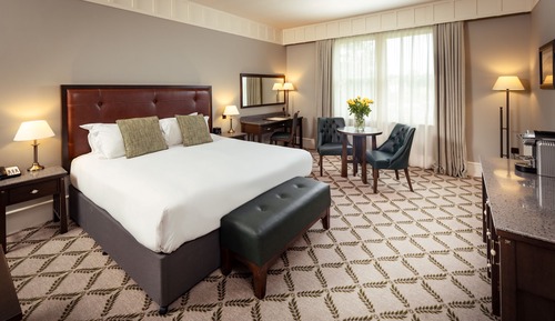 Habitación Deluxe (Guest Room)