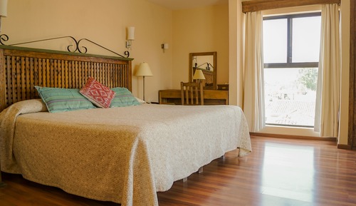 Habitación estándar, 1 cama de matrimonio grande