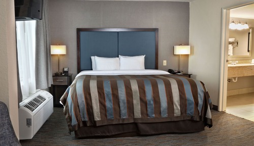 Habitación estándar, 1 cama de matrimonio grande
