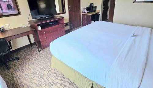 Habitación estándar, 1 cama de matrimonio grande, no fumadores