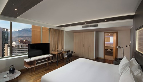 Singular Room 