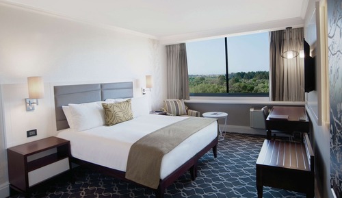 Habitación Deluxe, 1 cama de matrimonio grande, vistas al río