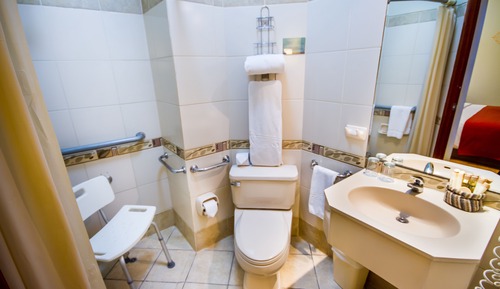 Habitación estándar, 1 cama de matrimonio grande, baño privado