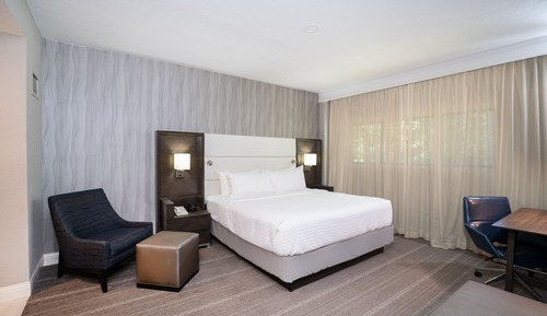 Habitación estándar, 1 cama de matrimonio grande (Communications)