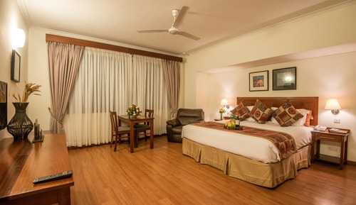 Estudio Confort, 1 cama de matrimonio grande, cocina básica