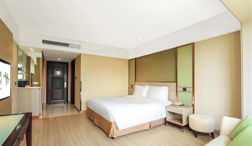Habitación estándar, 1 cama de matrimonio grande