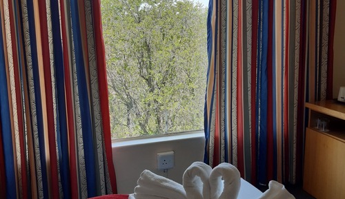 Habitación estándar doble