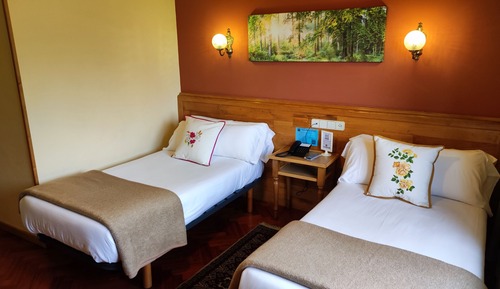 Habitación estándar, 2 camas individuales