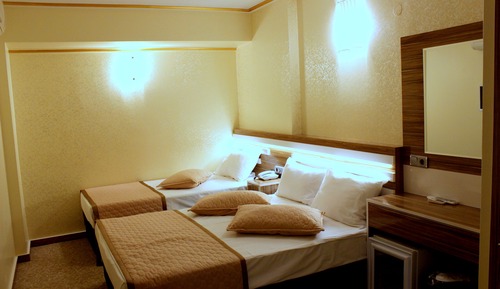 Habitación Deluxe con 1 cama doble o 2 individuales