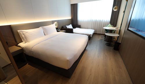 Habitación estándar, 1 cama de matrimonio grande con sofá cama