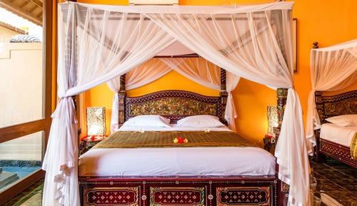 Studio ( 2x King Beds)