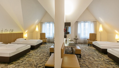 Habitación Confort con 1 cama doble o 2 individuales