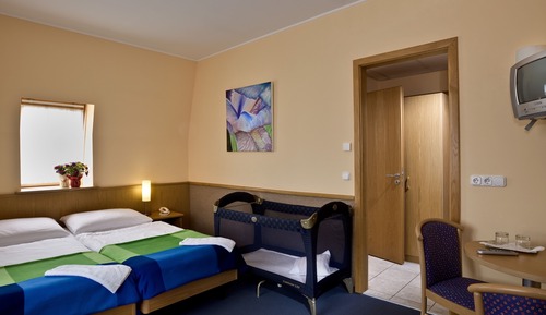 One Bedroom Apartment