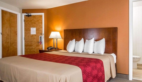 Habitación estándar, 1 cama de matrimonio grande, no fumadores