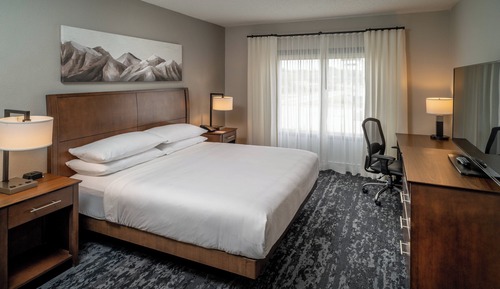 Suite ejecutiva, 1 cama de matrimonio grande con sofá cama