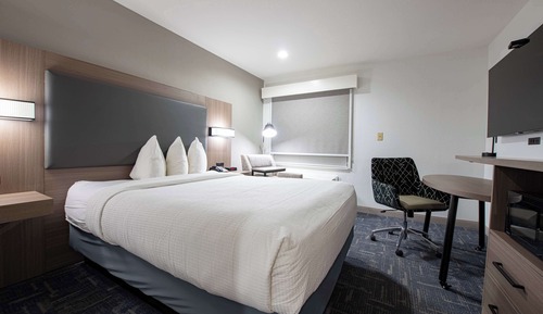 Habitación estándar, 1 cama de matrimonio grande, no fumadores, frigorífico y microondas
